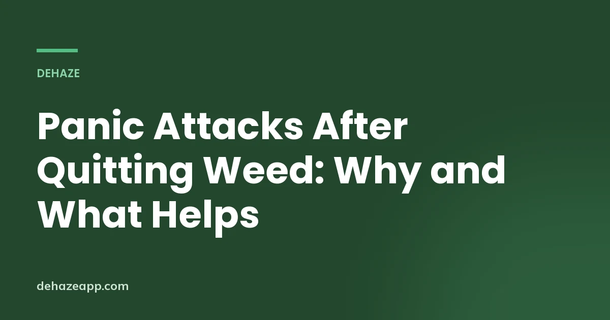 Panic Attacks After Quitting Weed: Why and What Helps