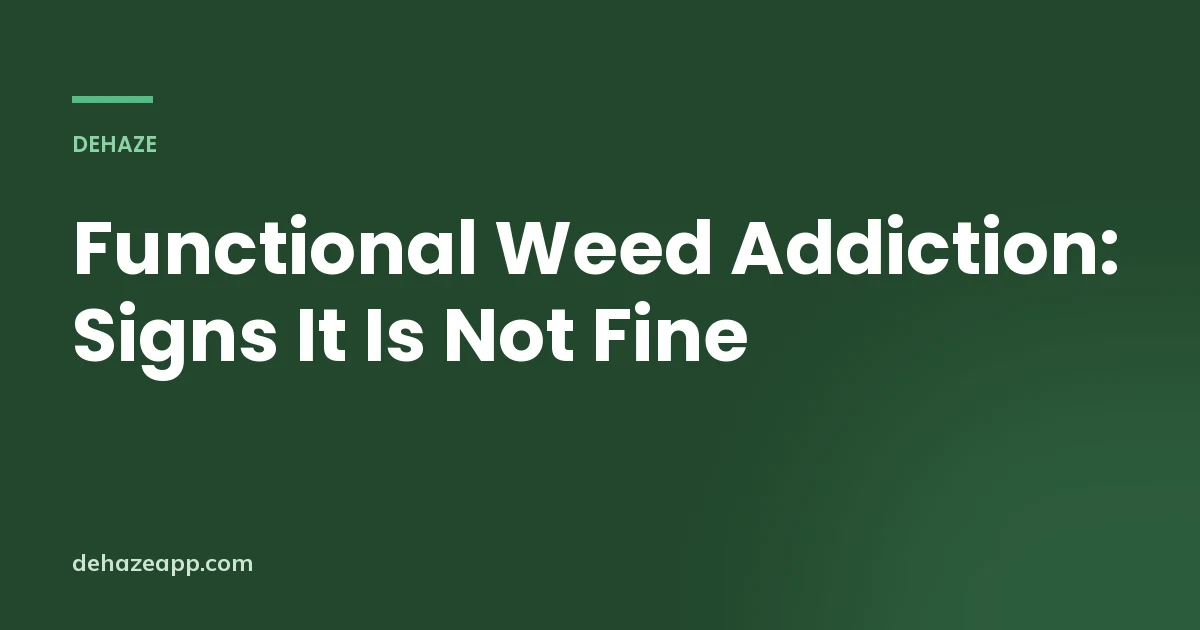 Dehaze article header reading Functional Weed Addiction: Signs It Is Not Fine