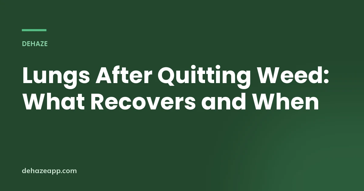 Dehaze article header reading Lungs After Quitting Weed: What Recovers and When